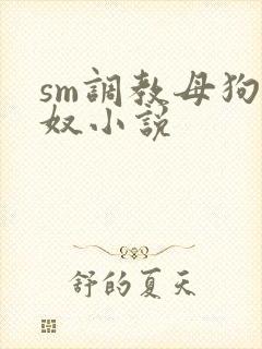 sm调教母狗女奴小说