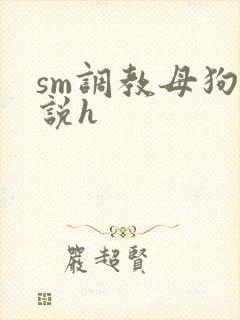 sm调教母狗小说h封面