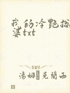 我的冷艳总裁老婆txt