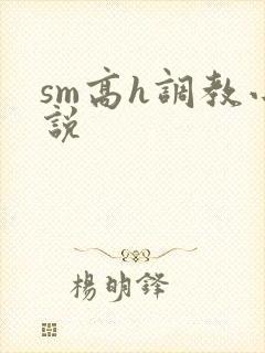 sm高h调教小说