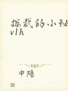 总裁的小秘书1v1h