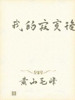 我的寂寞后妈