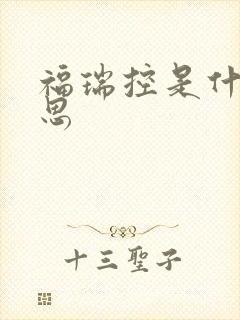 福瑞控是什么意思