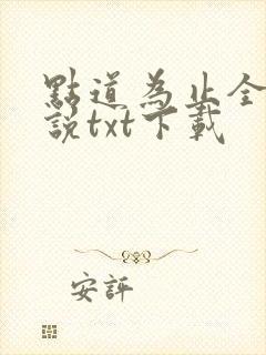 点道为止全本小说txt下载