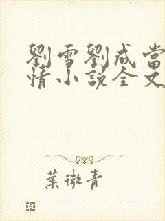 刘雪刘成当代爱情小说全文免费 笔趣