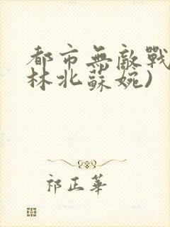 都市无敌战神(林北苏婉)