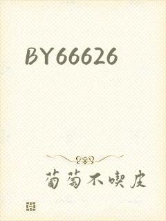 BY66626封面