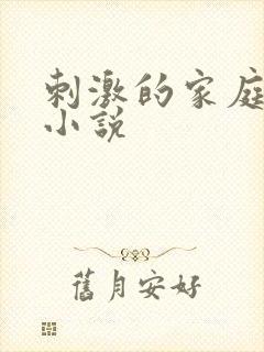 刺激的家庭乱仑小说