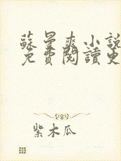 苏曼爽小说全文免费阅读更新时间