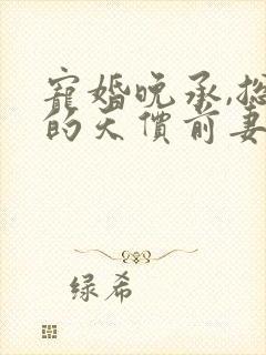 宠婚晚承,总裁的天价前妻