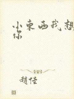 小东西我想弄坏你