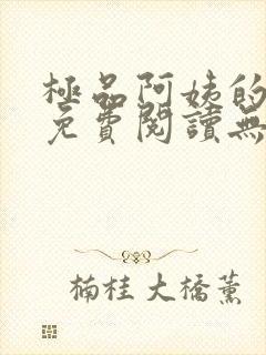 极品阿姨的小说免费阅读无弹窗