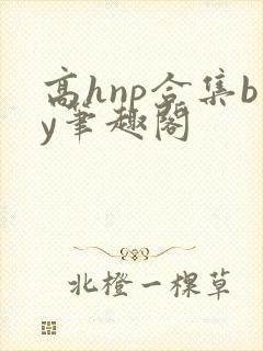 高hnp合集by笔趣阁