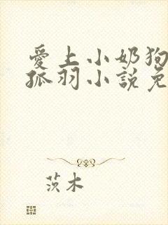 爱上小奶狗by孤羽小说免费阅读