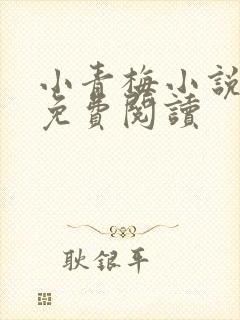 小青梅小说全文免费阅读封面