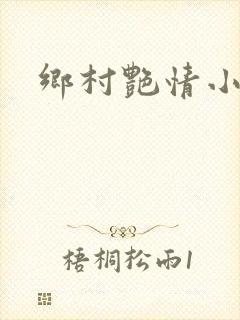 乡村艳情小说
