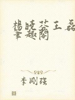 杨晓芬王磊小说笔趣阁封面