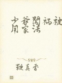 少爷闯祸被母亲用家法封面