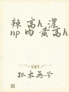 辣 高h 浓 np 肉 黄高h封面
