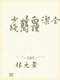少妇白洁全文在线阅读