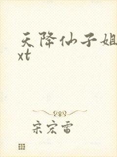 天降仙子姐姐txt