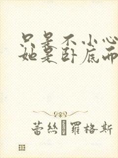 只是不小心发现她是卧底而已封面