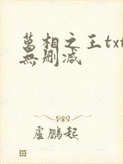 万相之王txt无删减封面