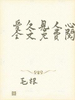 爱久见人心小说全文免费阅读封面