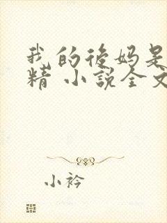 我的后妈是狐狸精 小说全文阅读免费封面