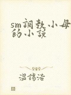 sm调教小母狗的小说封面