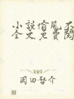 小说偷风不偷月全文免费阅读