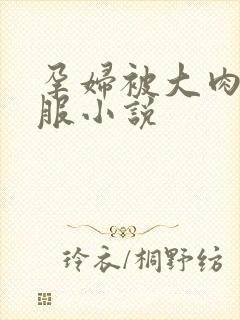 孕妇被大肉楱征服小说封面