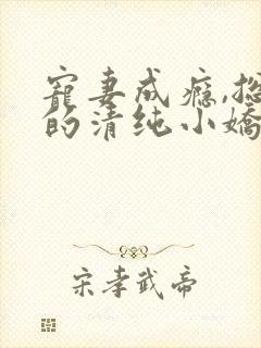 宠妻成瘾,总裁的清纯小娇妻