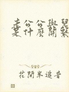 老公公与儿媳妇是什么关系封面