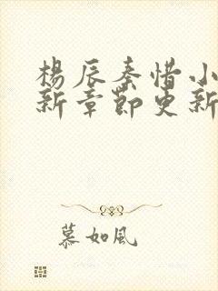 杨辰秦惜小说最新章节更新