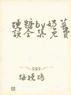 硬糖by奶菜小说全集免费阅读封面