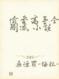 偷香高手全文无删减 小说