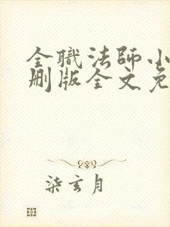全职法师小说未删版全文免费阅读