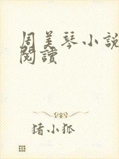 周美琴小说免费阅读