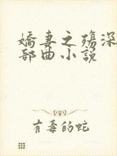 娇妻之殇深绿三部曲小说封面