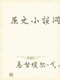 原文小说网