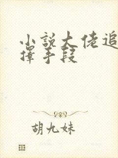 小说大佬追妻不择手段