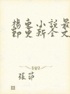 杨东小说最新章节更新全文阅读