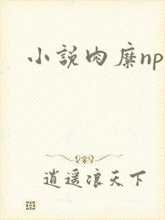 小说肉糜np