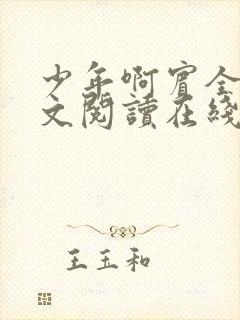 少年啊宾全文全文阅读在线阅读全文封面