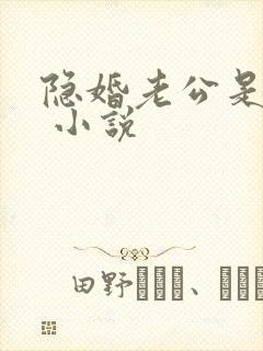 隐婚老公是巨星 小说
