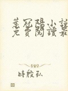 叶冠阳小说全文免费阅读最新章节