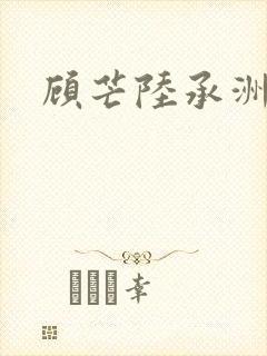 顾芒陆承洲封面