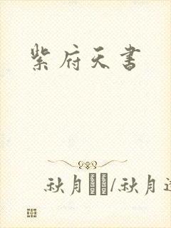 紫府天书