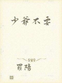 少爷不要
